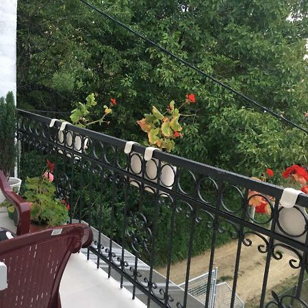 Apartment Vistanova ヴルドニーク エクステリア 写真